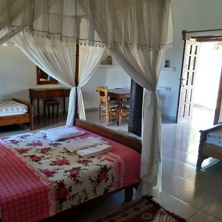 Rizokarpaso Karpaz Stone House Bed & Breakfast エクステリア 写真